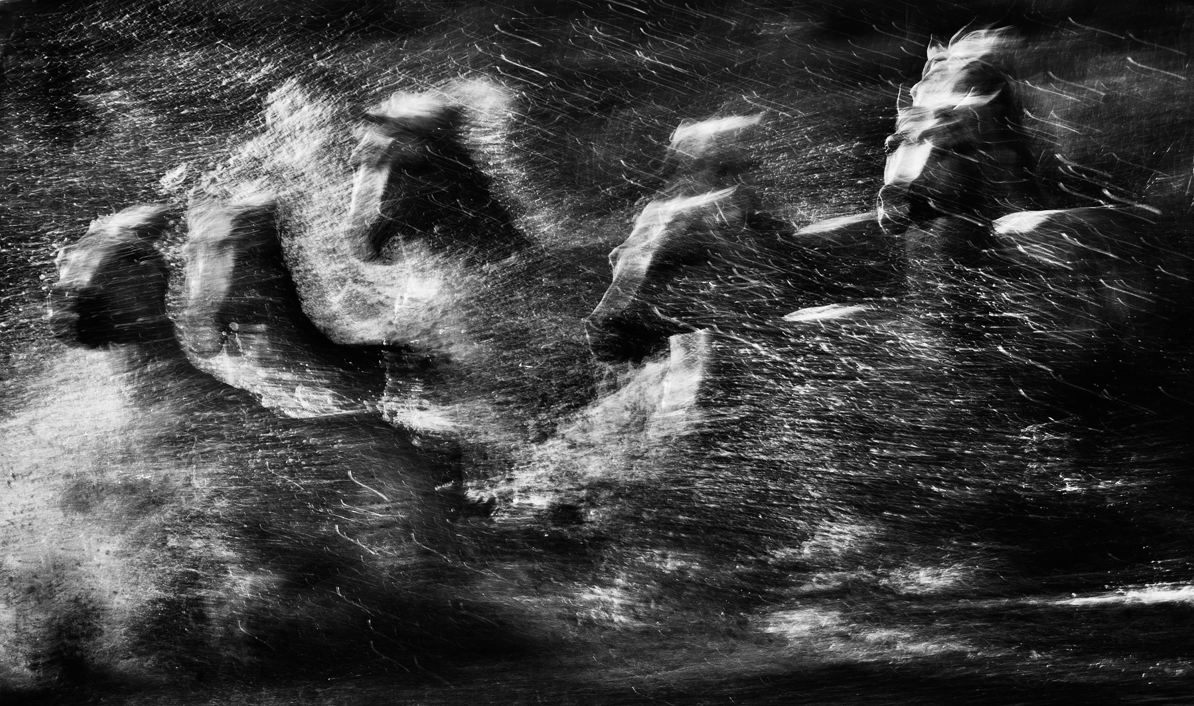 David Yarrow Black and White Photograph - White Rush