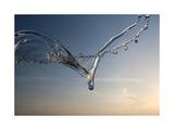 Ailes d'eau