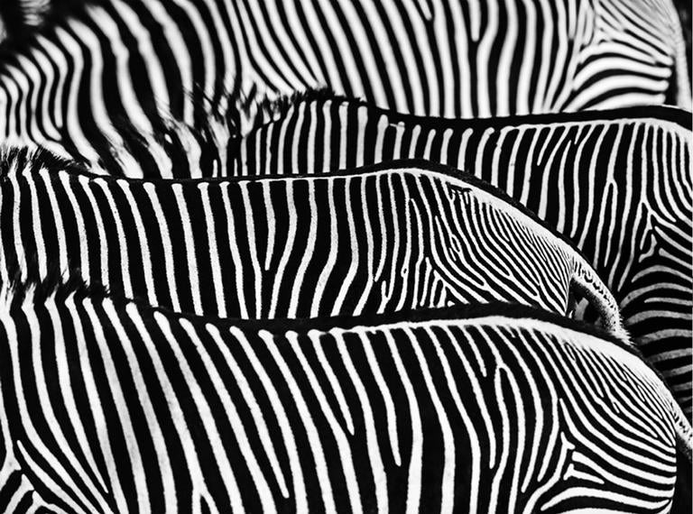 David Yarrow The Factory, Photograph For Sale at 1stdibs