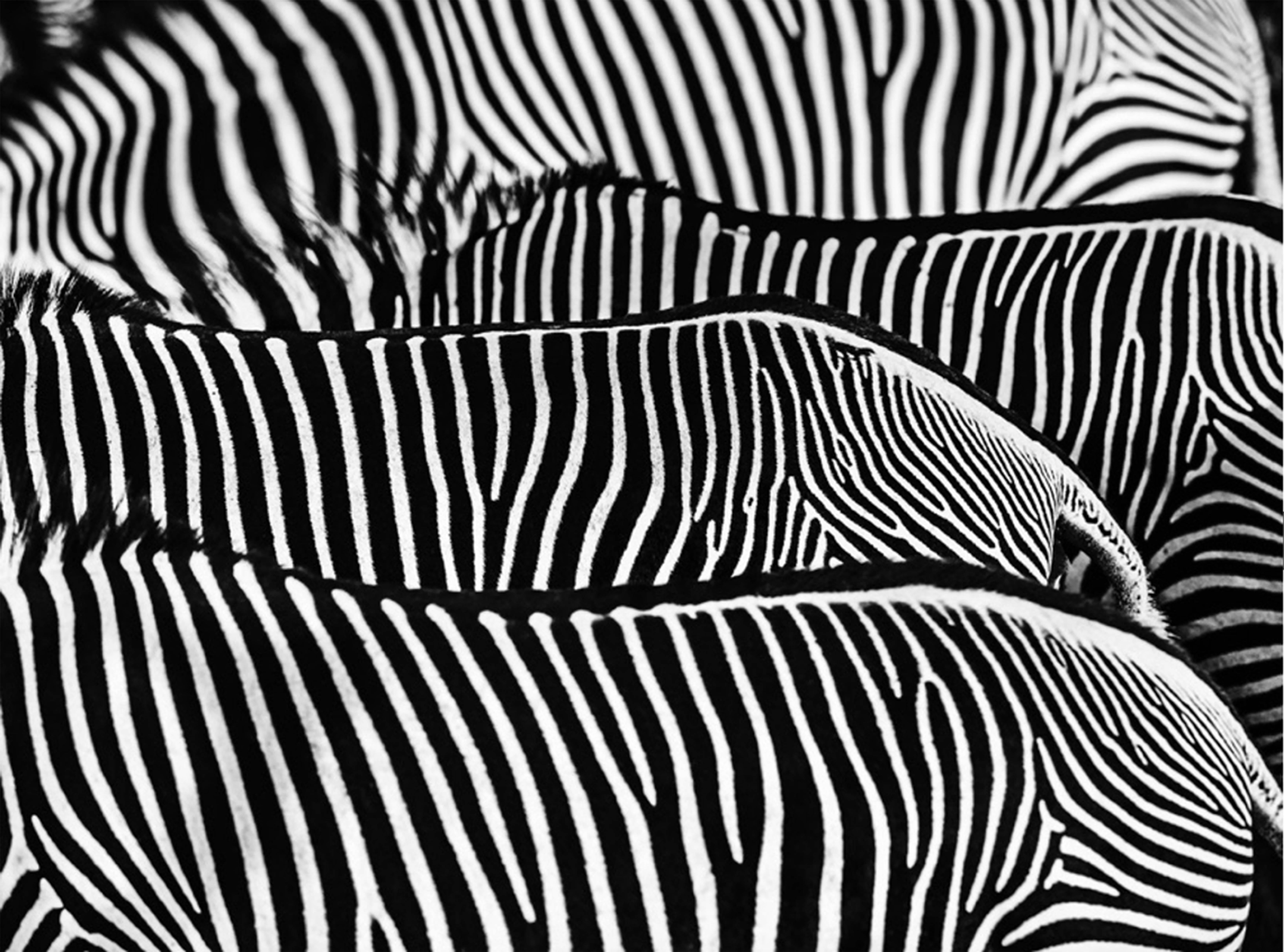 David Yarrow Black and White Photograph - The Factory 