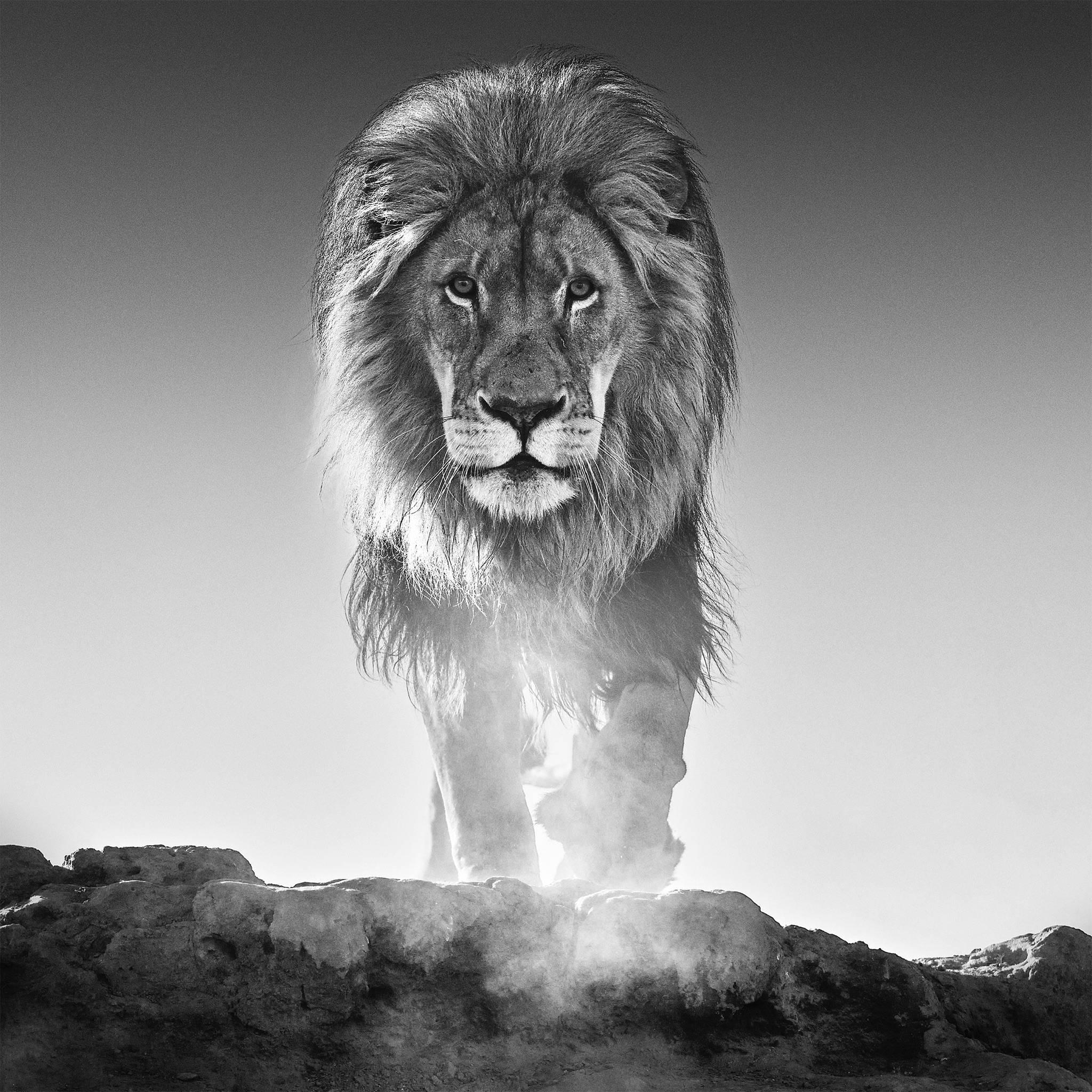 David Yarrow Black and White Photograph - The Old Testament