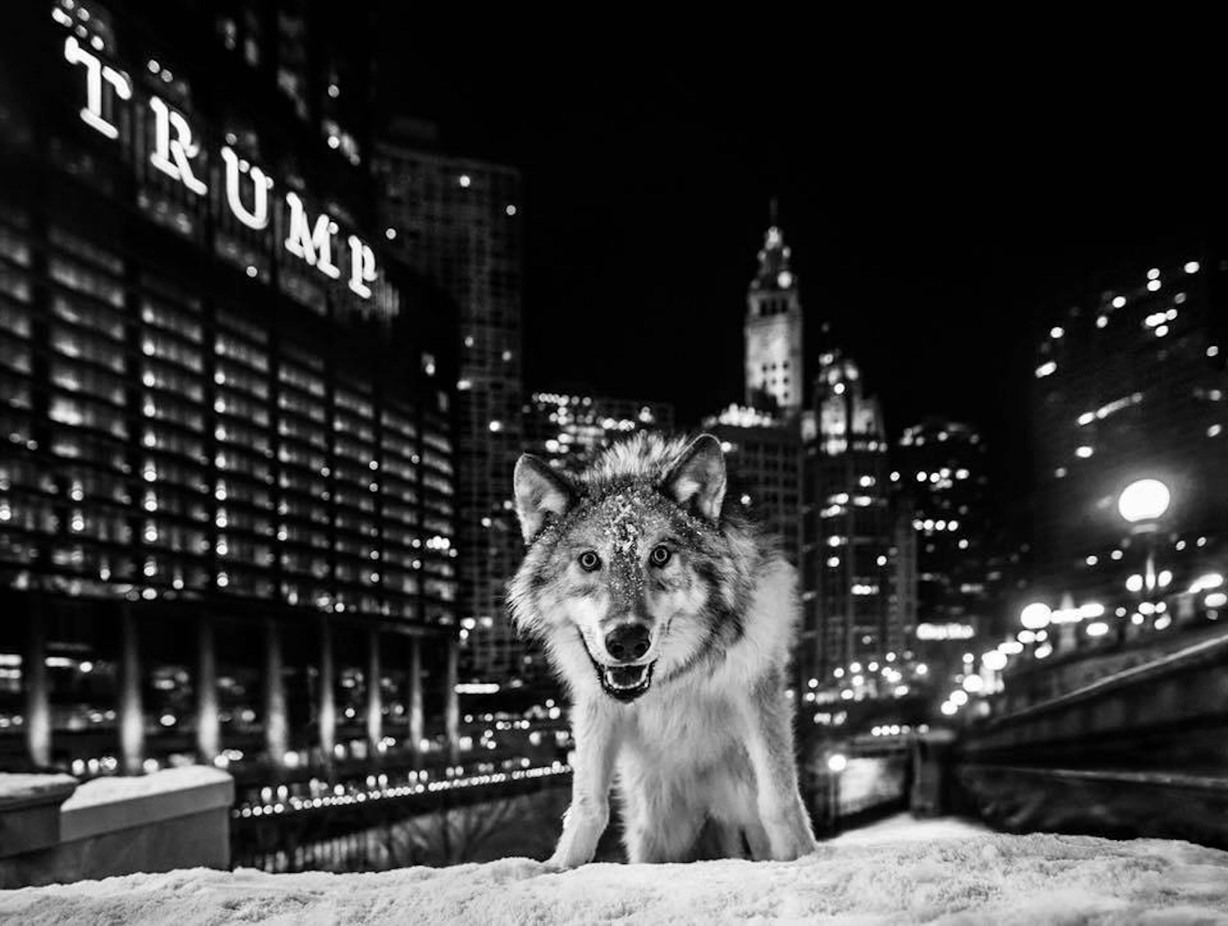 David Yarrow Black and White Photograph - It Is Only a Matter of Time