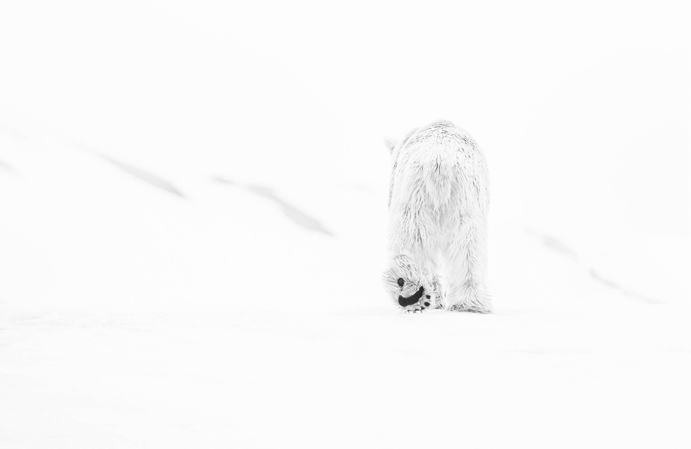 Black and White Photograph di David Yarrow - 78 gradi nord II