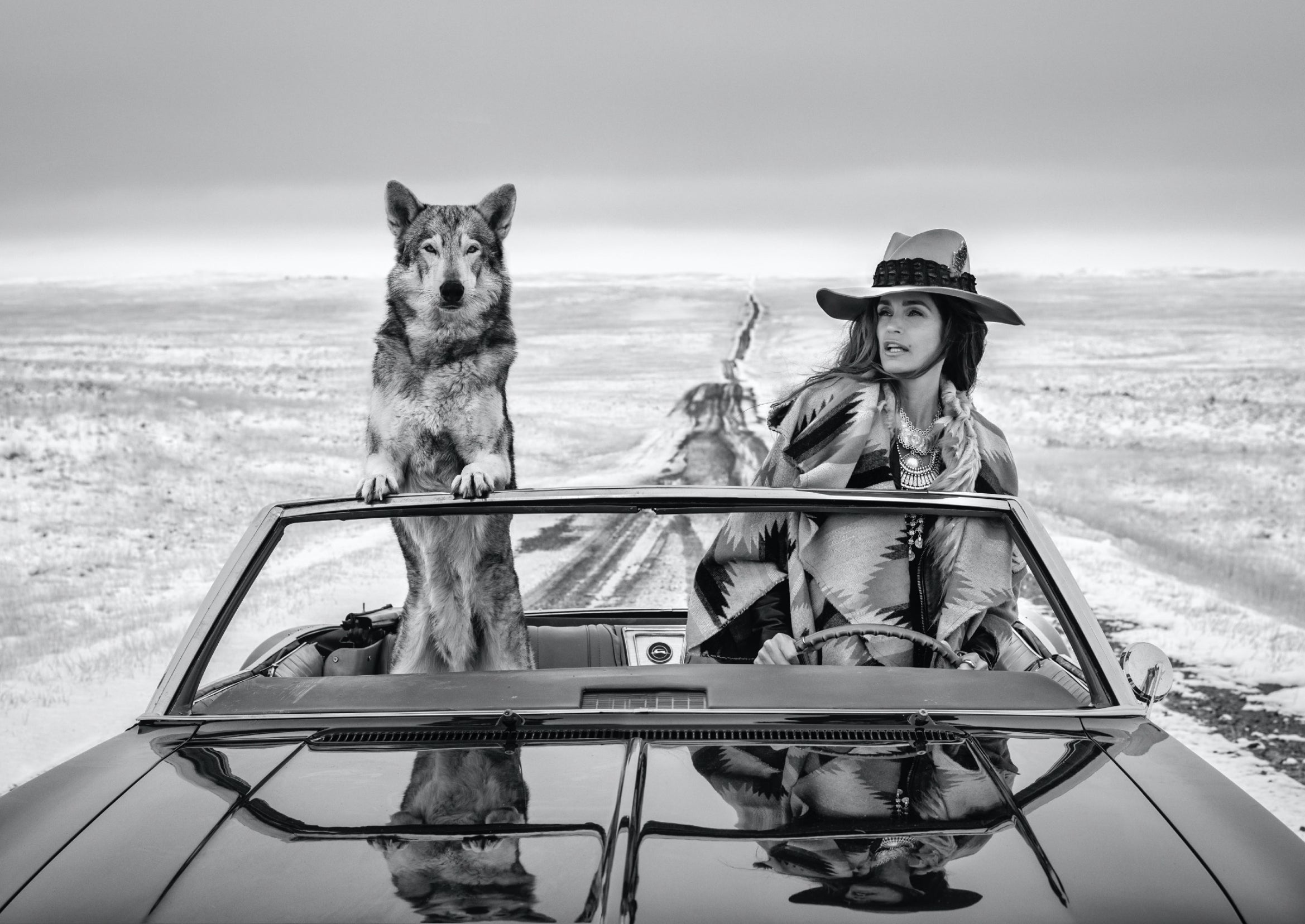 David Yarrow For Sale at 1stDibs