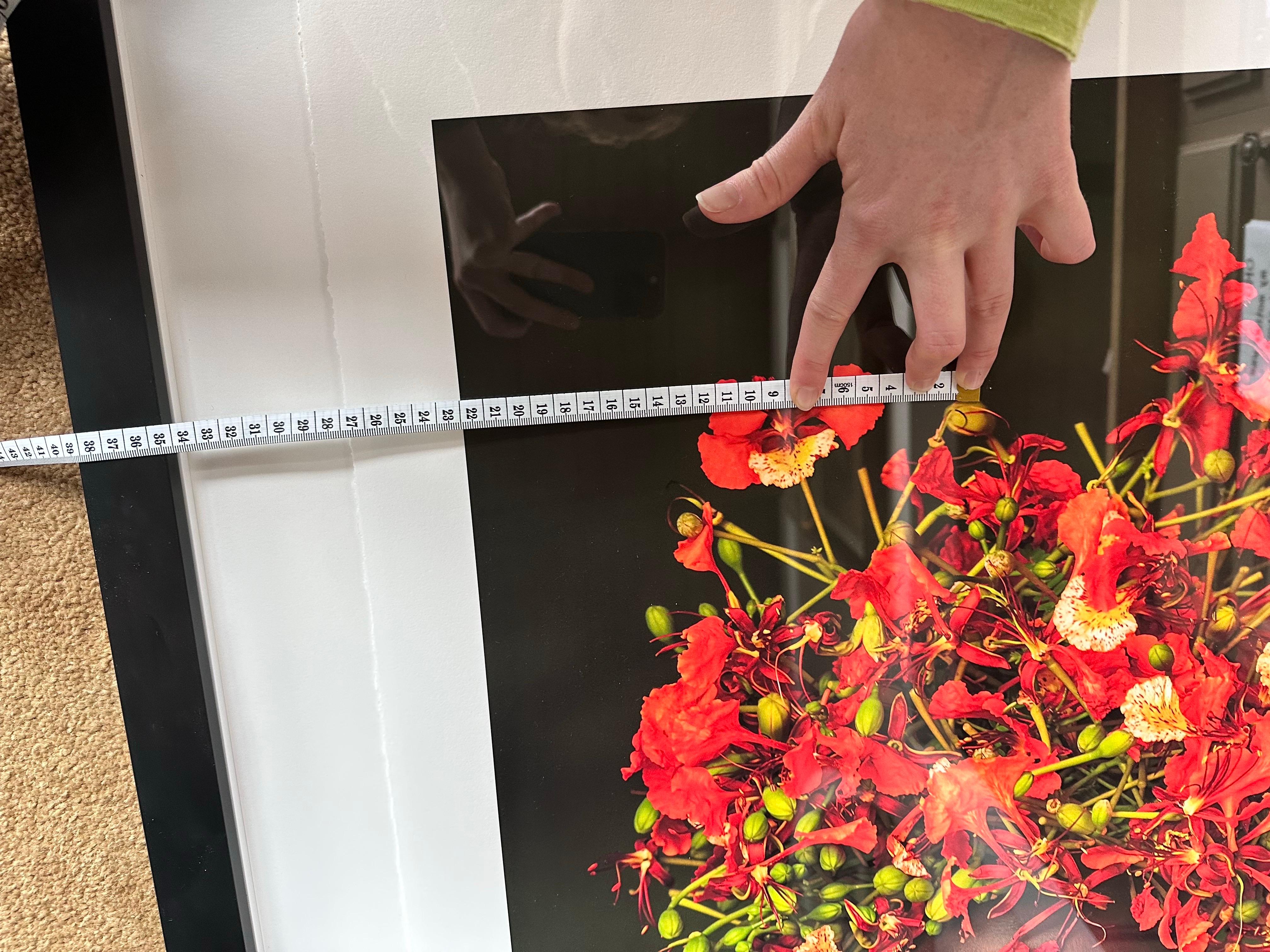 Wildblumen in meinem Haar, Äthiopien von Cristina Mittermeier im Angebot 5