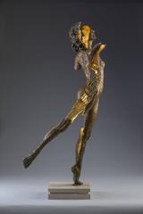 Phantom Zella (The Shadow Phantom)