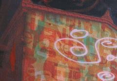 DIVINA NATURA Campo di luce 8