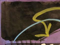 DIVINA NATURA Field Museum Study 3