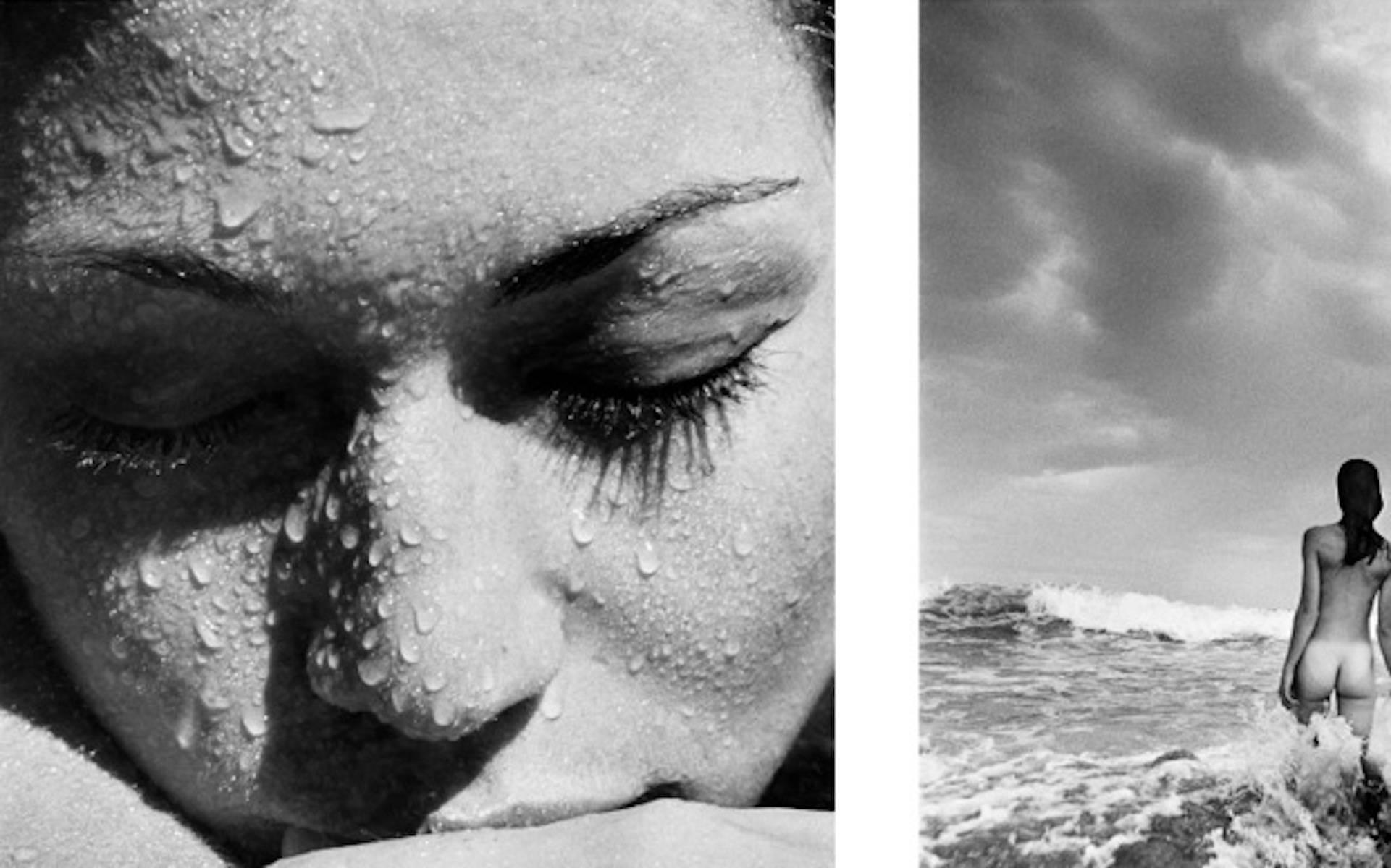 Verjüngungs-Triptychon – Photograph von Hugh Arnold