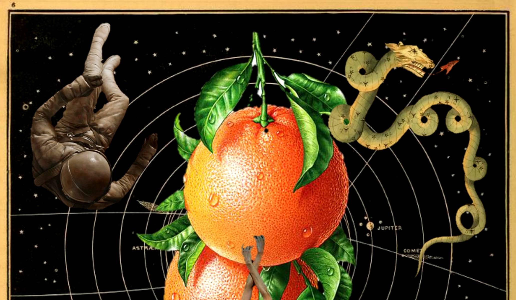 Ballett in Orange (Zeitgenössisch), Mixed Media Art, von Robert Fleischman