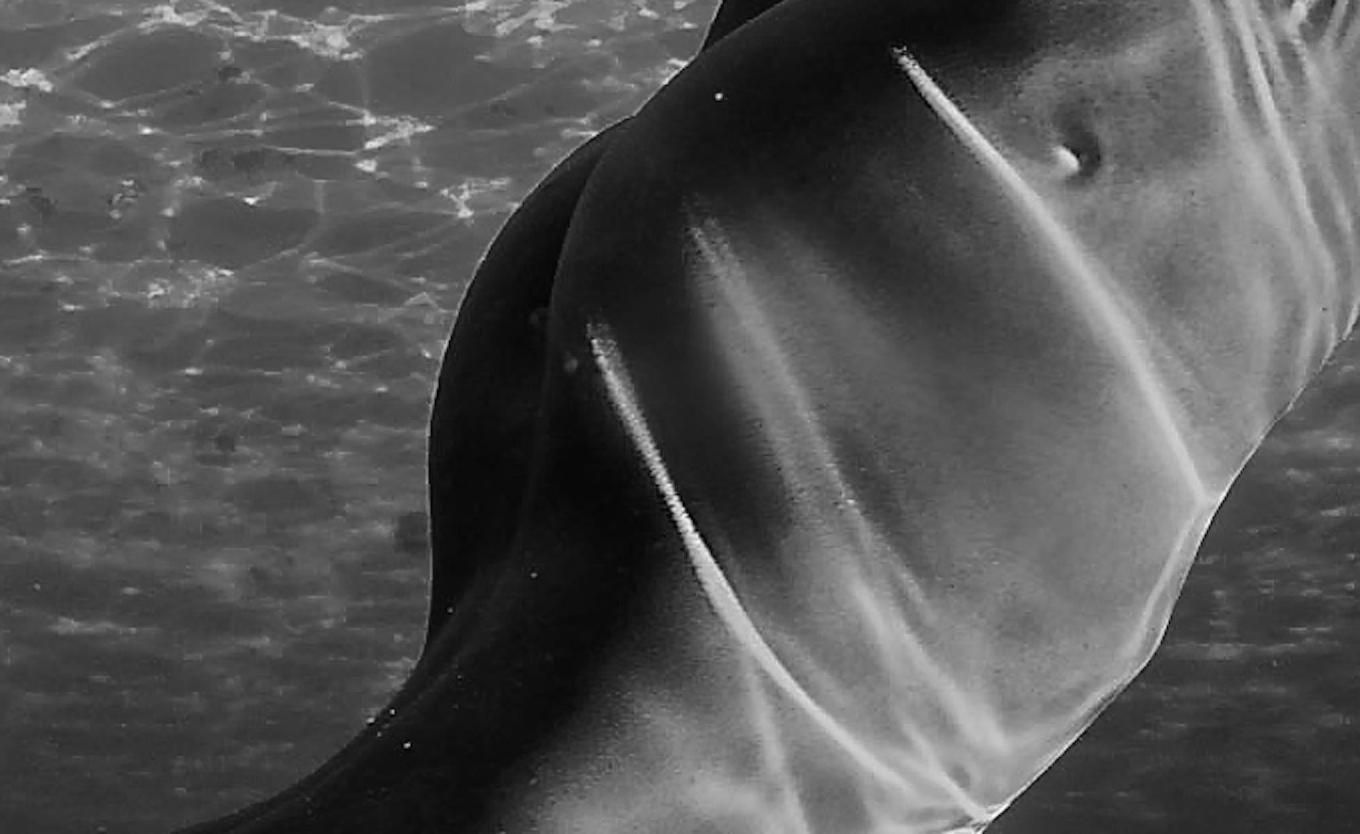 Ondas y Raizes – Photograph von Hugh Arnold