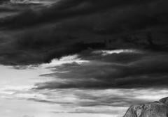 Family by David Yarrow - Elephant - Contemporary Photography