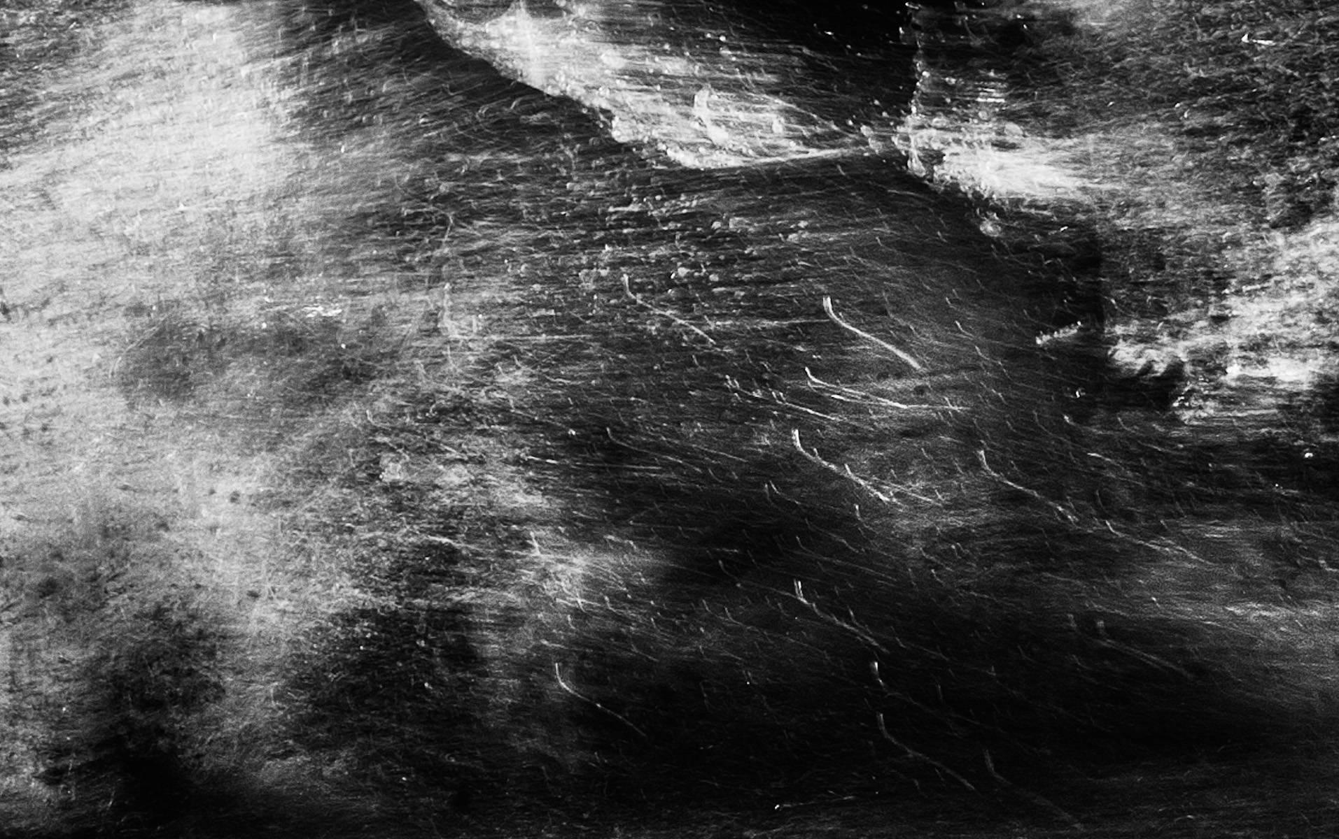 Fiebre blanca - Black and White Photograph Gris de David Yarrow