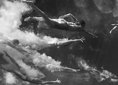 Pursuit (Noir et blanc)