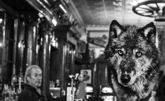 Il lupo di Main Street II