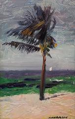 The Palm Tree