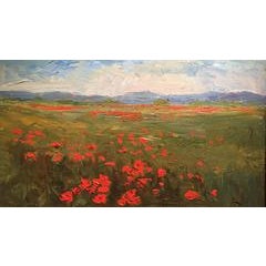Poppy Field 9