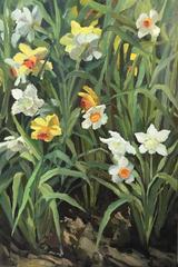 Daffodil Dream