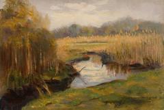 The Marsh 3