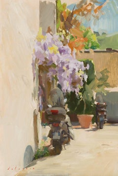 Used Wisteria and Scooters
