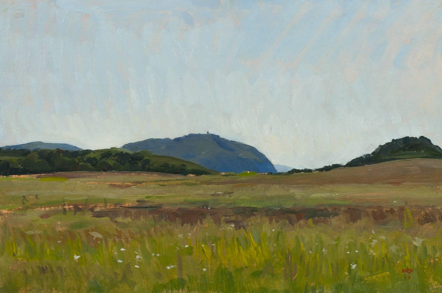 Marc Dalessio Landscape Painting - Baratti Hills