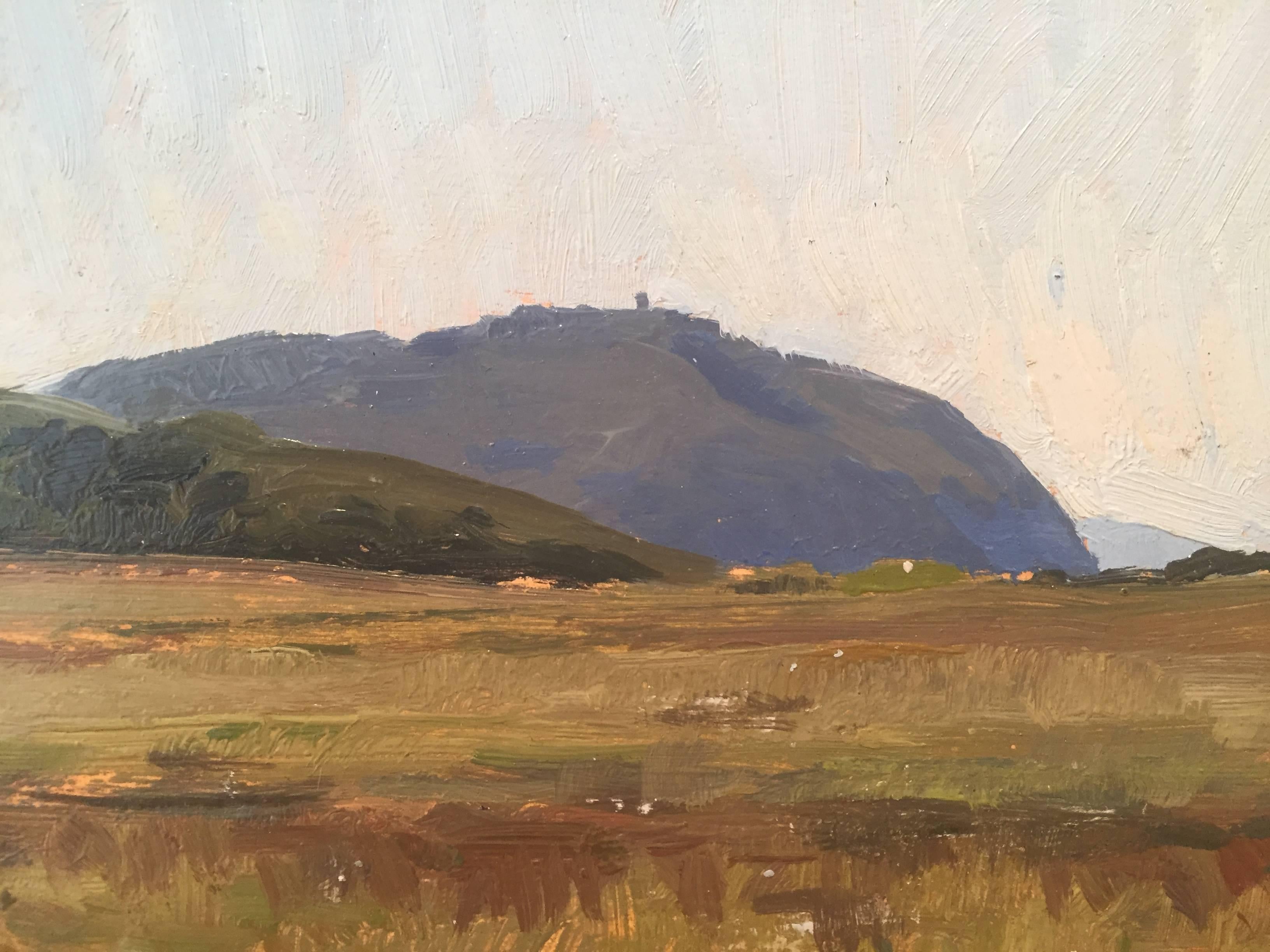 Baratti Hills - Brown Landscape Painting by Marc Dalessio
