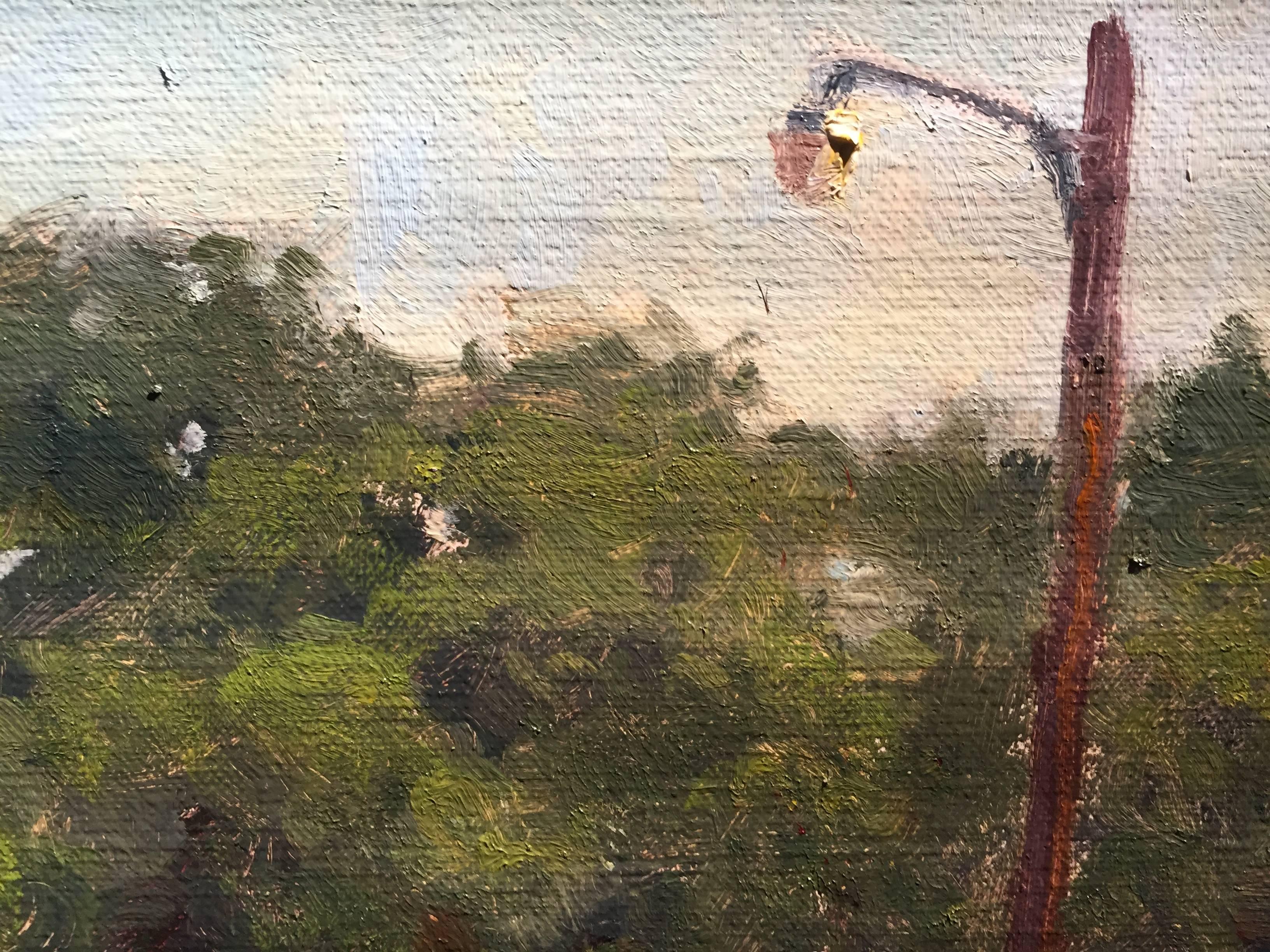 Backyard Chickens was painted en plein air in rural america. Two small ranch buildings compose the border of the painting. The horizon is made up of trees in full bloom. The atmosphere fades from a yellow horizon into a deep blue expanse of sky.