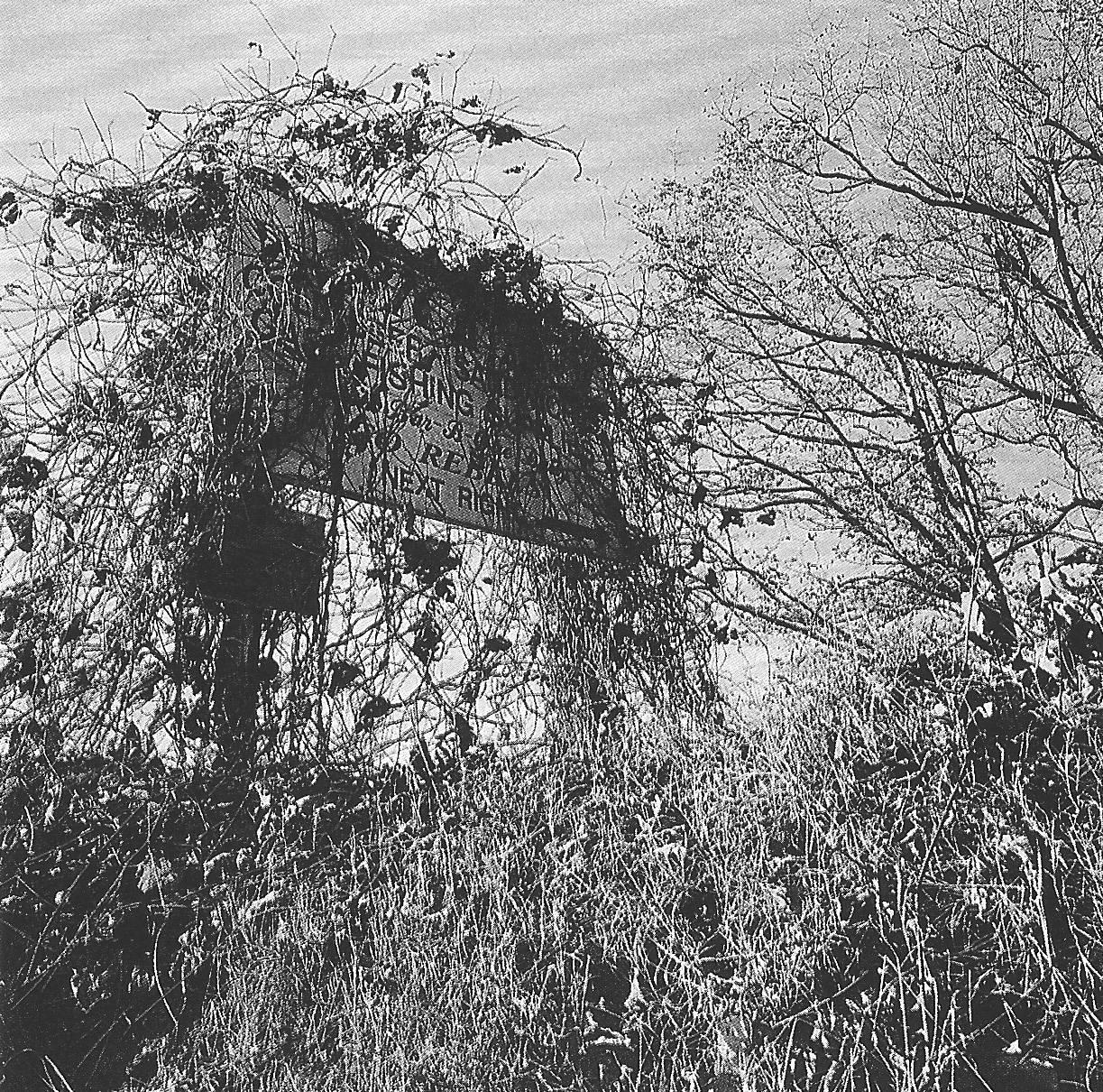 Graciela Iturbide Black and White Photograph - Letrero con hierbas