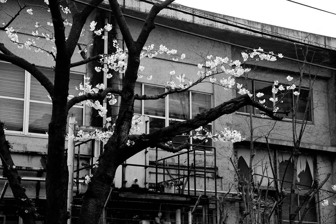 César Ordóñez Black and White Photograph - "Tokyo Blur" series