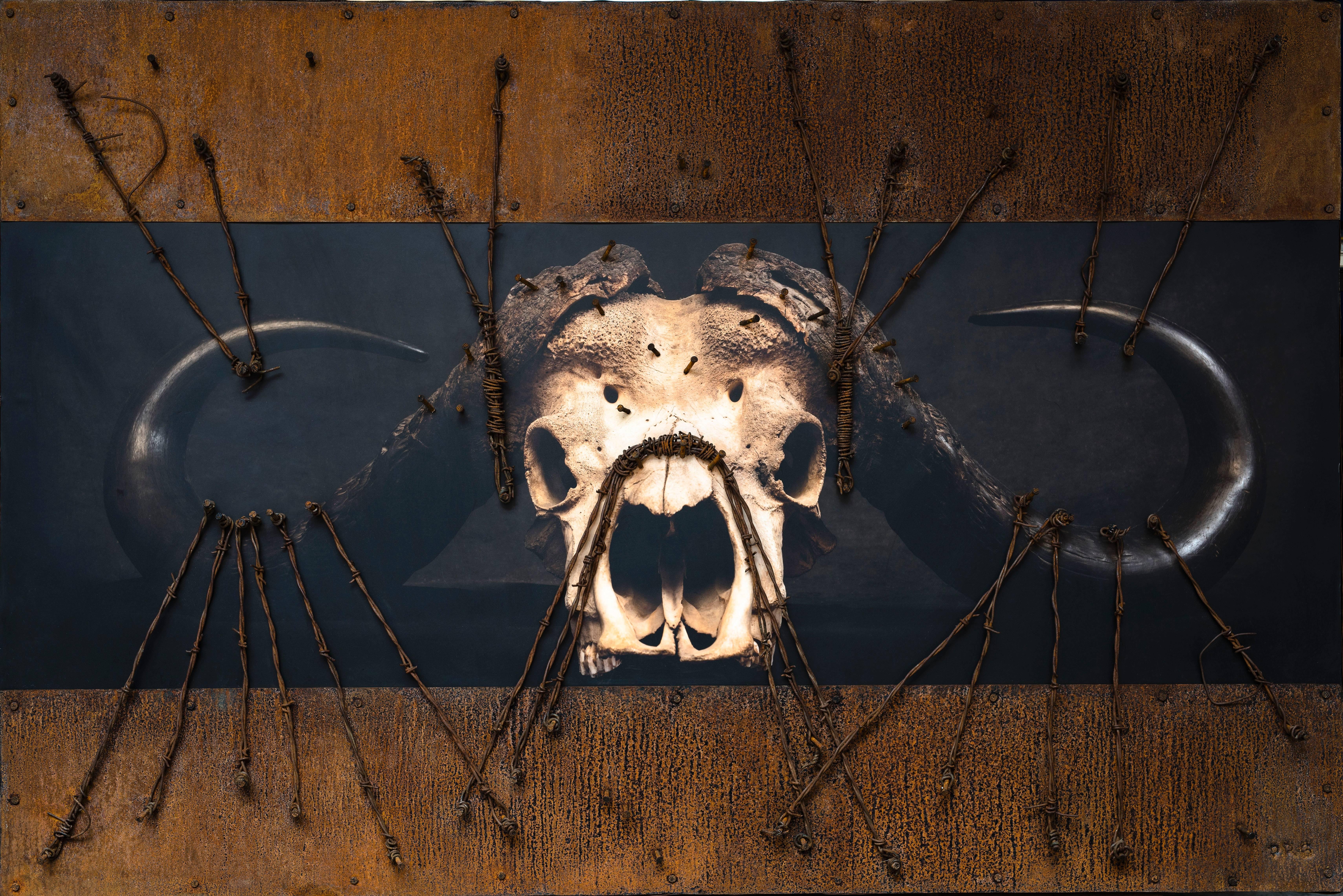 Patricio Robles Gil Figurative Photograph - "Barbwire buffalo"