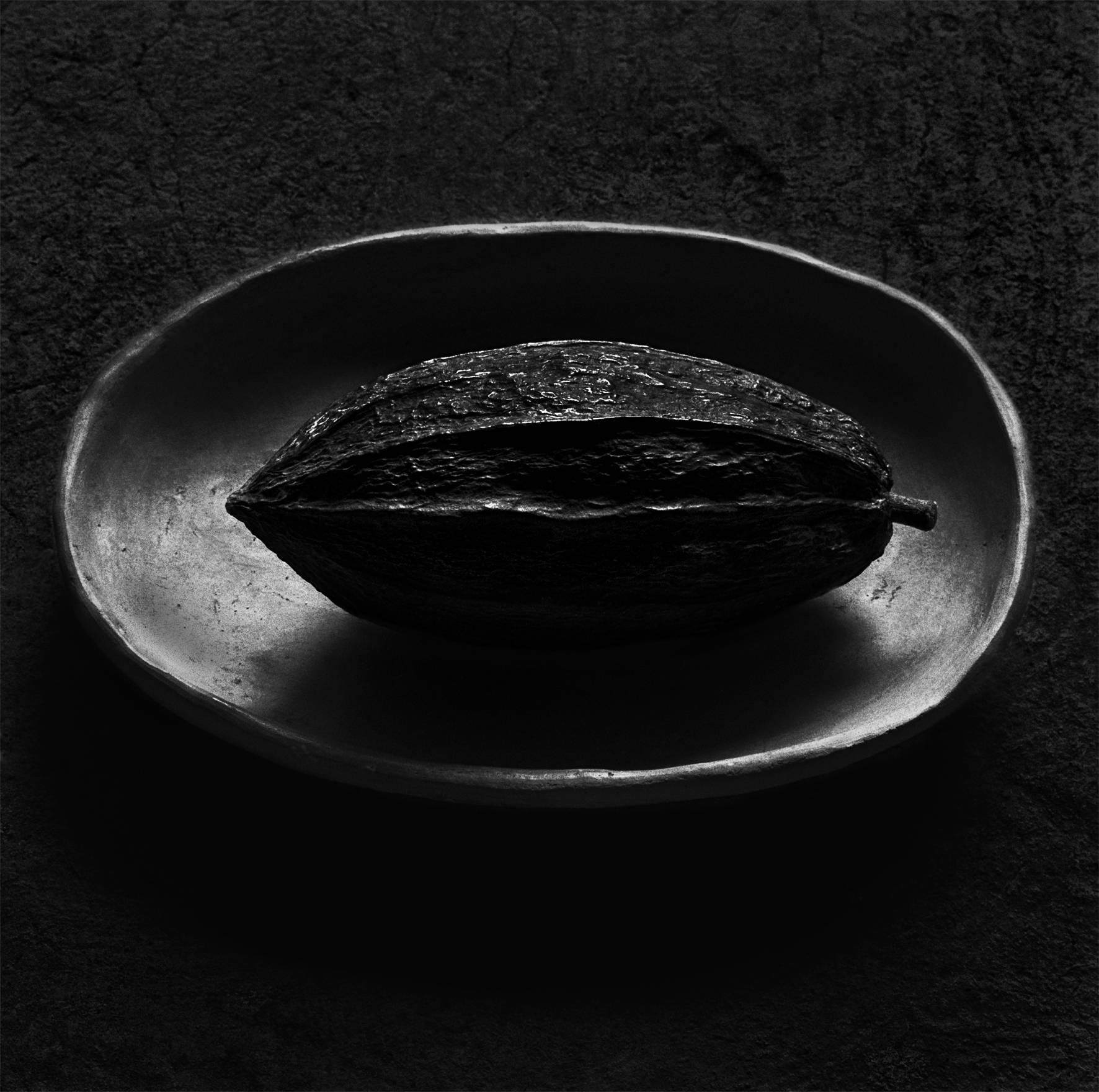 Flor Garduño Still-Life Photograph - Cacao