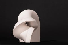 Sinuosity