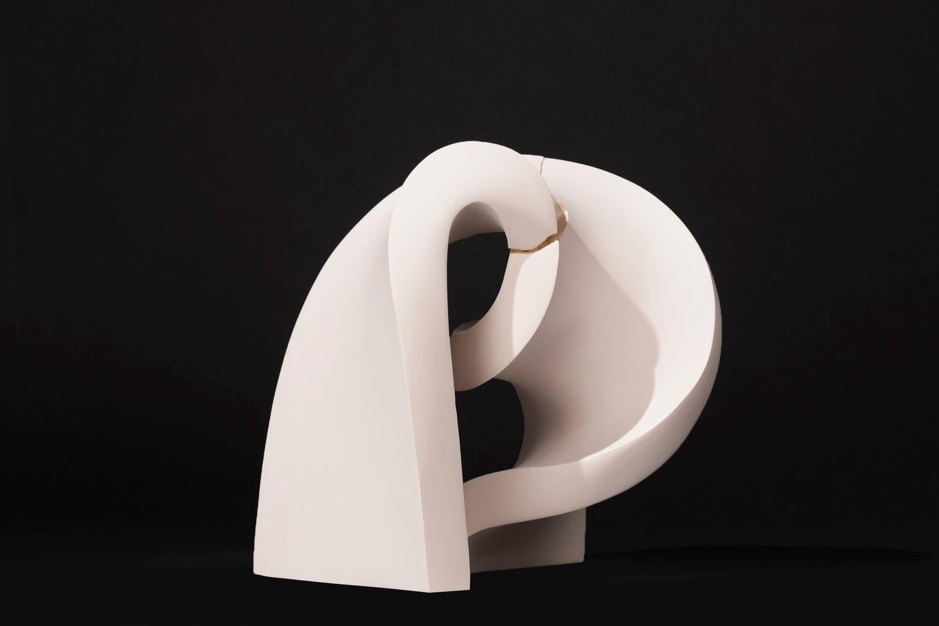 Convoluted - Contemporary Sculpture by Stephanie Bachiero