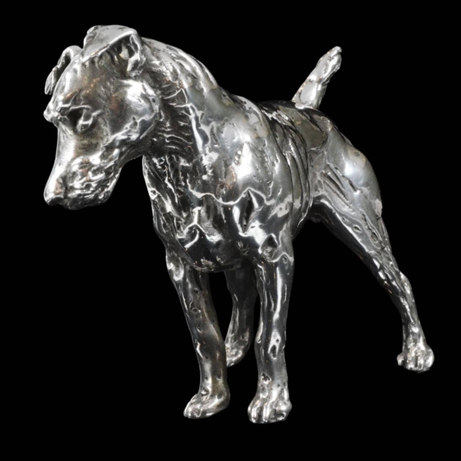 'Patterdale Terrier' in Sterling silver, Silver sculpture by Lucy Kinsella
The limited edition finely modelled terrier stands squarely with his head cocked to one side, ears pricked and short tail pointing straight upwards. He stares intently at the