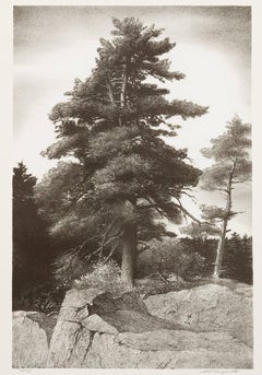 The Sentinel Tree