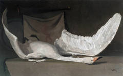 The dead swan