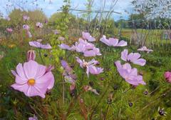 Kitchen garden in Marcost