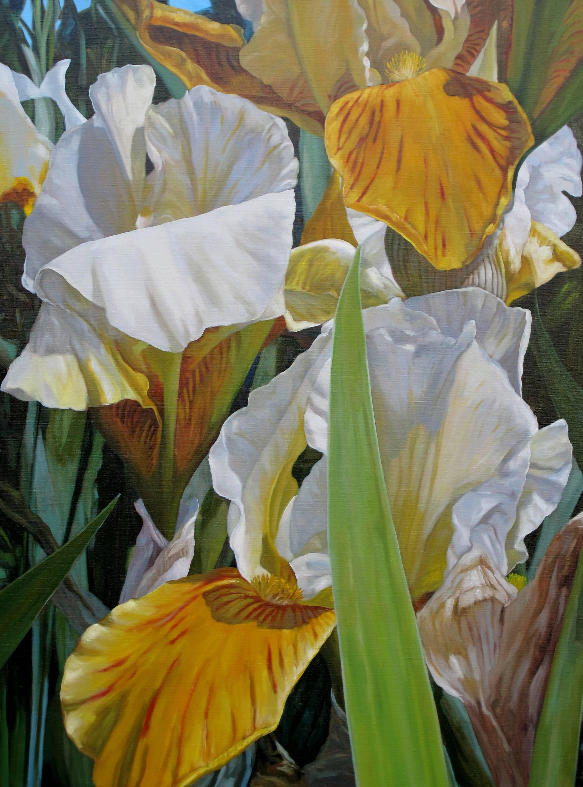 Leijdekkers, Theo Still-Life Painting - Iris in the cultivating bed