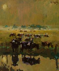 Polder landscape with cows