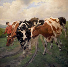 Kühe