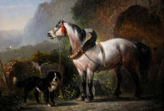 Pferde und Hund