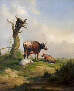 Cattle in landscape