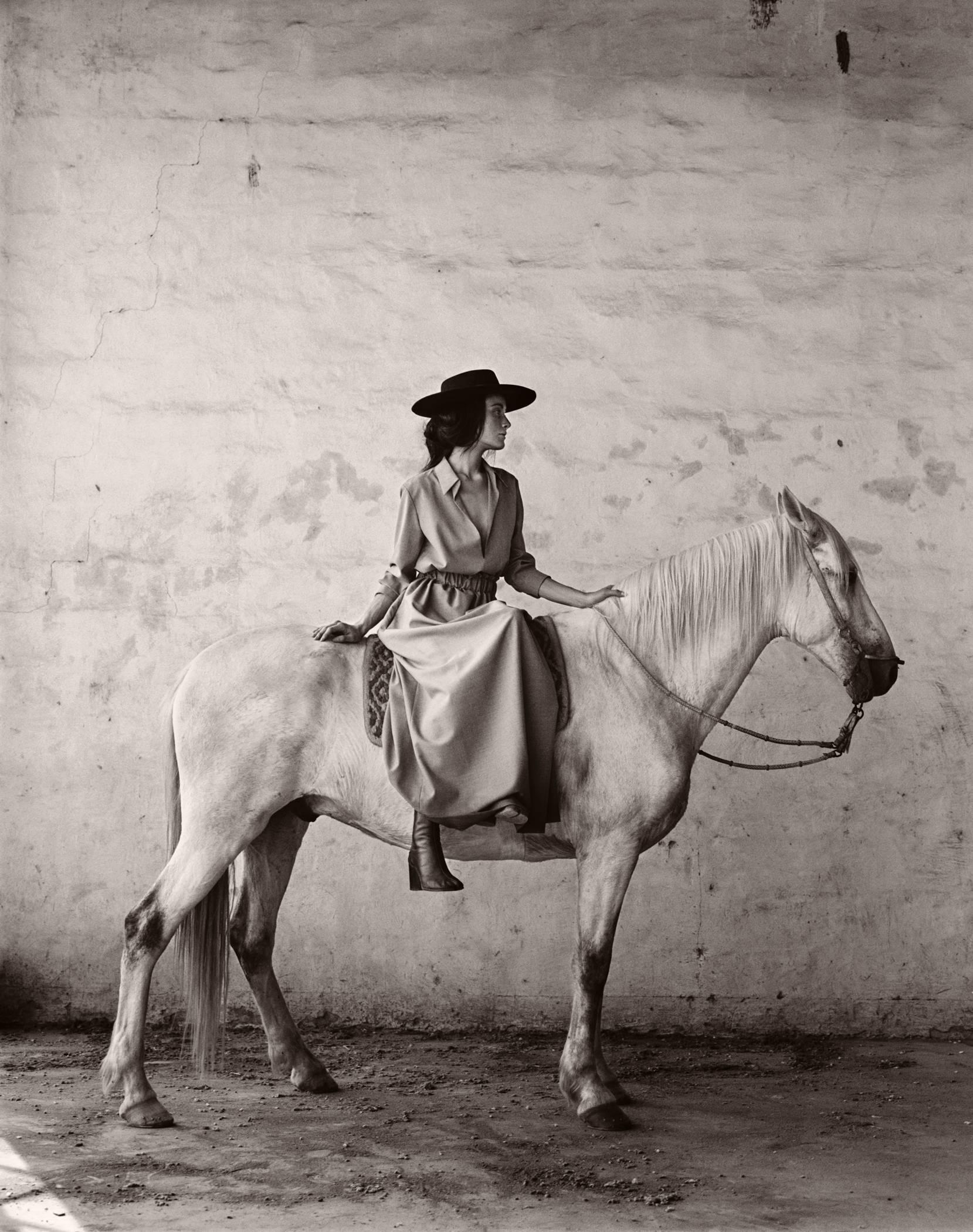 Anne Menke Portrait Photograph - Horse in Argentina