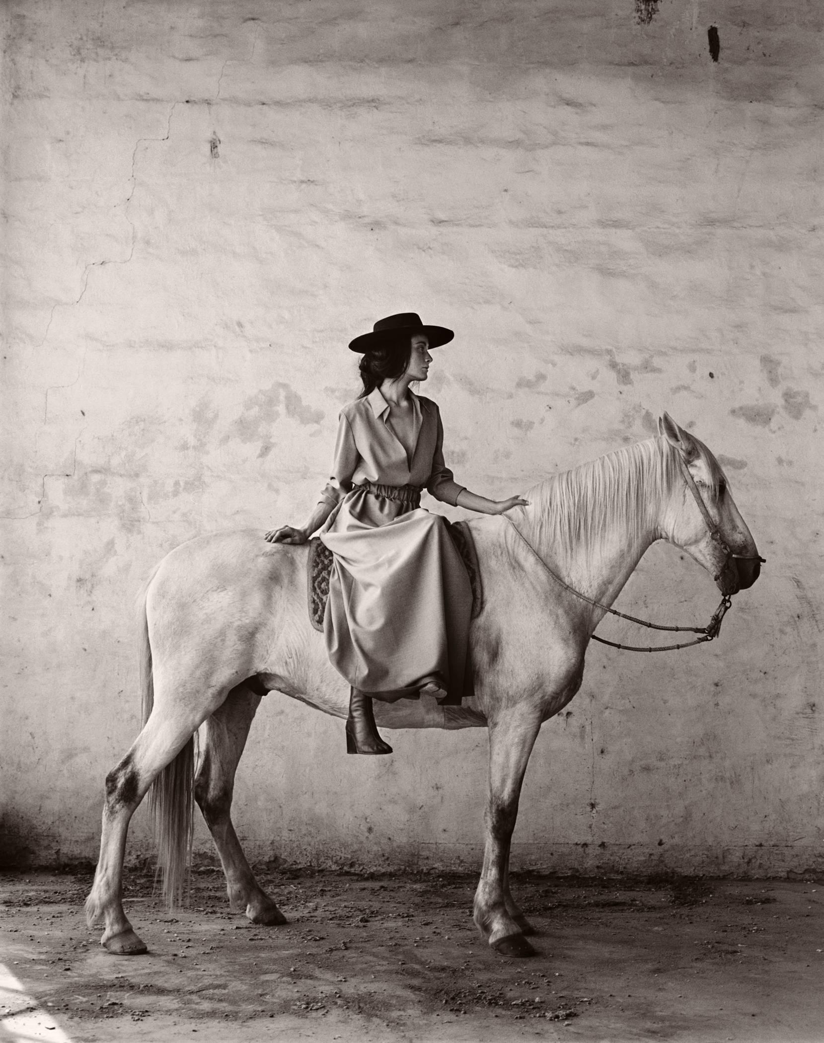 Anne Menke Portrait Photograph – Pferd in Argentina
