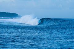 Wave 1, Fiji