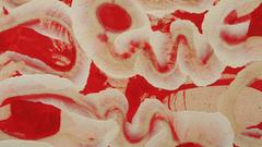 Back Side of Chaos - Red