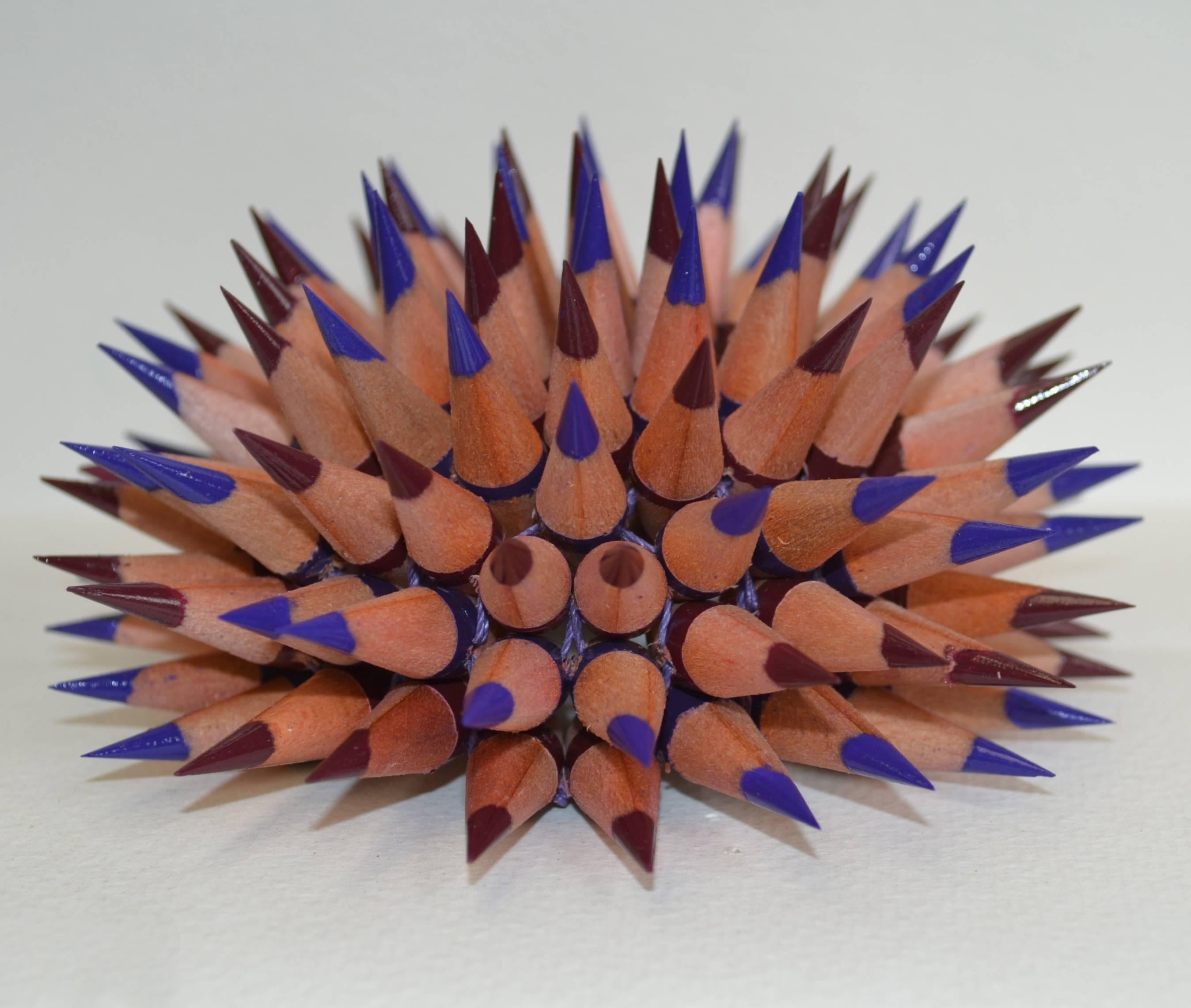 Jennifer Maestre Still-Life Sculpture - Indigo Sea Urchin