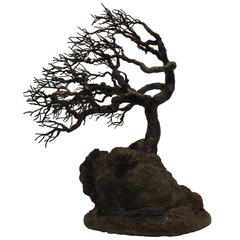 Oak Peak