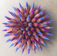 Blue and Violet Sea Urchin