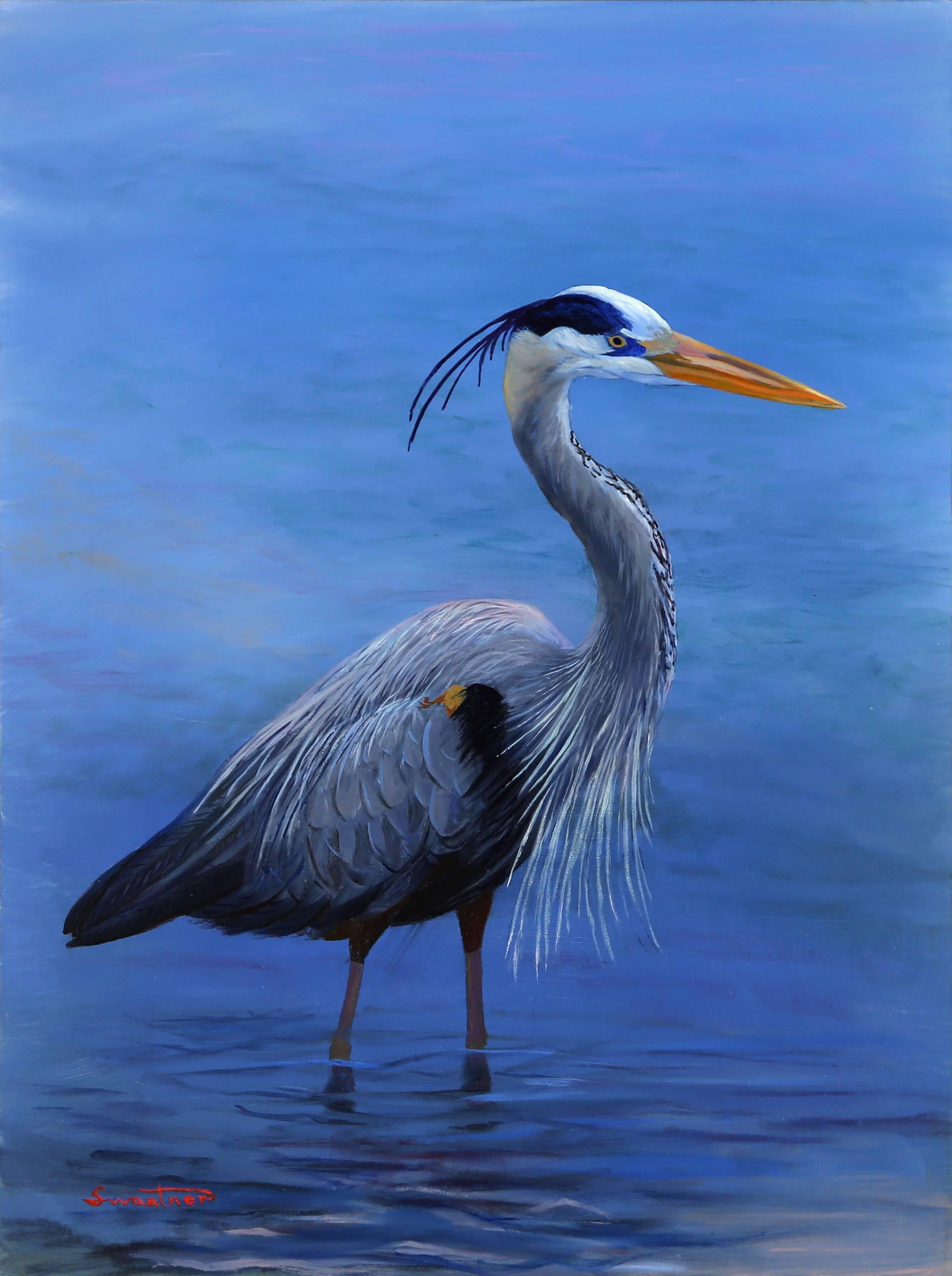 David Swantner Animal Painting - Great Blue Heron